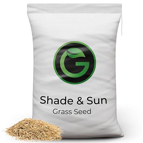 Shade & Sun Grass Seed - Lawn Seed for Shaded Areas 20kg (280-800m² ...