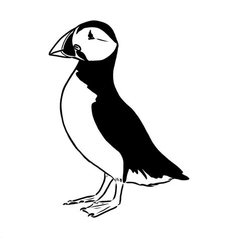 the puffin bird is flying vector sketch 7652776 Vector Art at Vecteezy