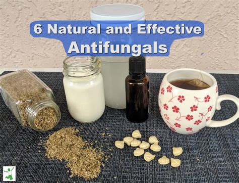 7 Most Effective Natural Antifungals (and how to use them) | Natural ...