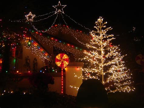 Winterhaven Festival of Lights - Susanne Grogan | Luxury Properties