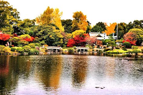 More glimpses of unfamiliar Japan: Autumn Colors at Suizenji Garden