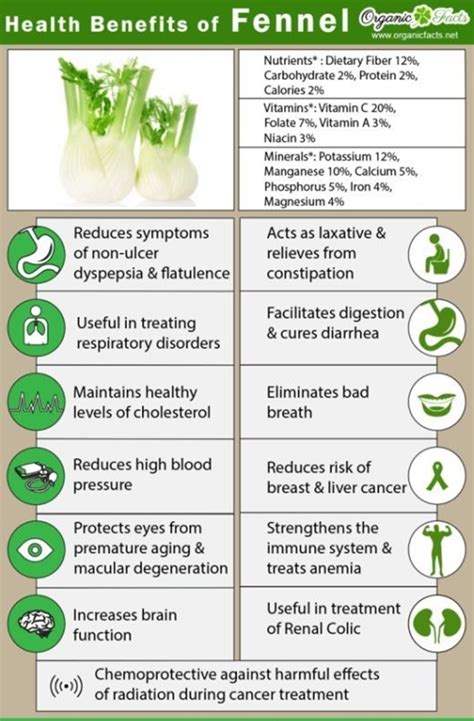 Medicinal Plants And Their Benefits