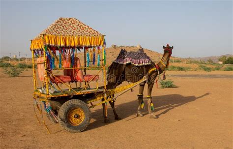 Decorative Camel and Cart in India Stock Image - Image of tied, decorative: 138478613