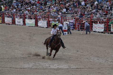 HOMESTEAD RODEO CELEBRATES 65 YEARS - The Roman Show