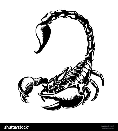 Scorpion tattoo | Scorpion tattoo, Scorpio tattoo, Zodiac tattoos