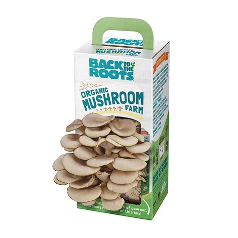 Mushroom Farm Kit - OddGifts.com