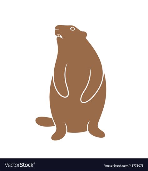 Marmot Royalty Free Vector Image - VectorStock