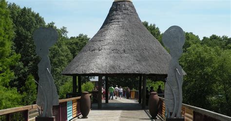 Casa Wayward: A Trip to the North Carolina Zoo