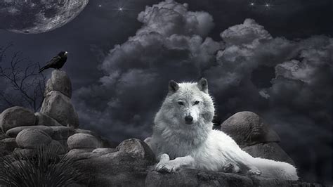 HD wallpaper: black, moon, werewolf, white | Wallpaper Flare