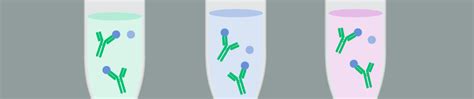 Immunoprecipitation (IP) protocol | Abcam