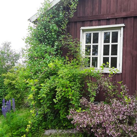 Join us on our smallholding with viking history in Tranby, Norway