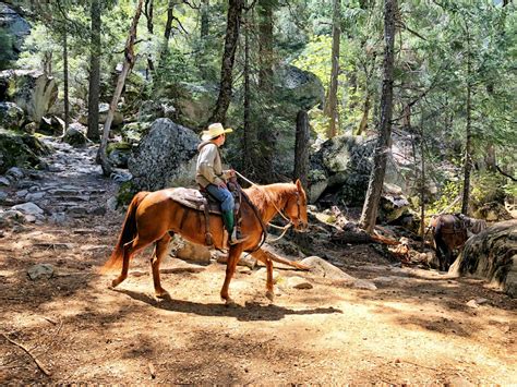 9 Top Places to Go Horseback Riding in California