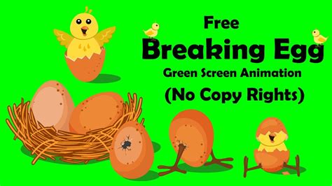 Breaking Egg Green Screen Animation - YouTube