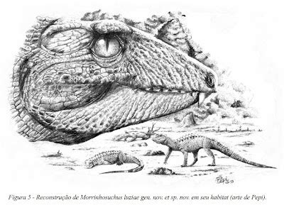 Species New to Science: [Paleontology • 2009] Morrinhosuchus luziae • a New Crocodylomorpha ...