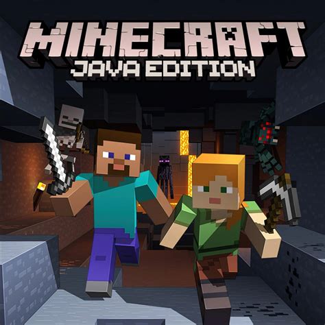 Minecraft java edition server download - dockdax