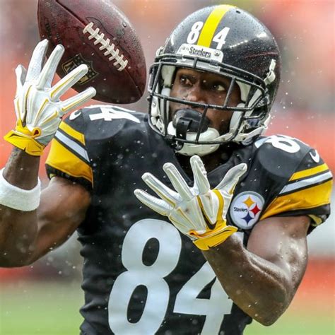 Antonio Brown Stats, News, Videos, Highlights, Pictures, Bio ...