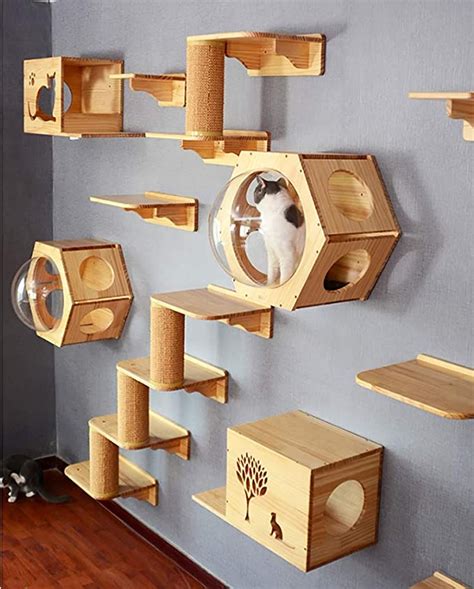 Unique cat toys – Artofit