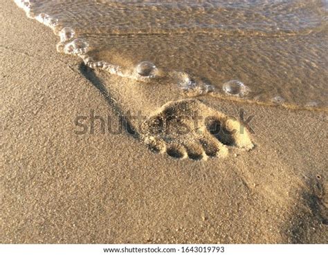 Human Footprint Sand On Beach Stock Photo 1643019793 | Shutterstock