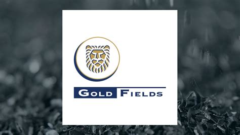 JPMorgan Chase & Co. Increases Gold Fields (NYSE:GFI) Price Target to $18.00 - Mayfield Recorder