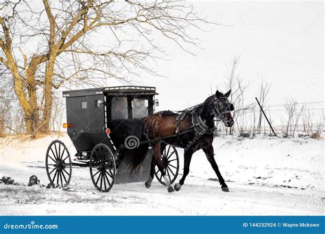 Amish Horse And Buggy Royalty-Free Stock Image | CartoonDealer.com #144232924