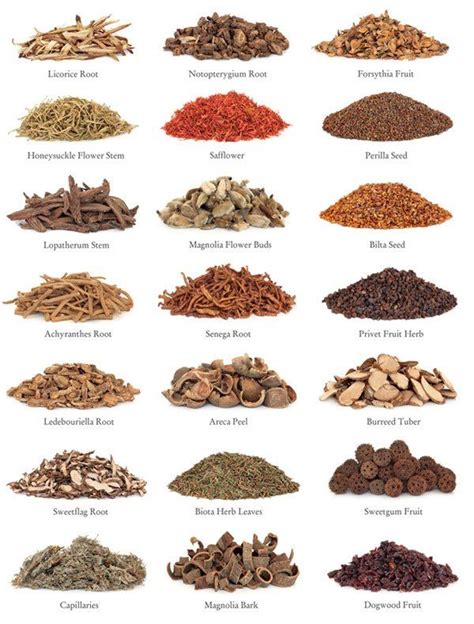 Common Chinese medicinal herbs recognition | Chinese medicinal herbs, Herbalism, Chinese herbs