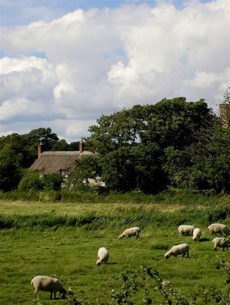 Dorset rural | England countryside, English countryside, British countryside