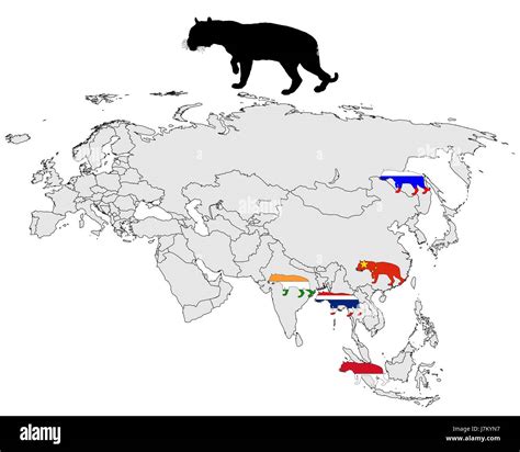 tiger distribution map Stock Photo - Alamy