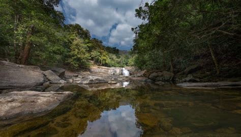 6 Best Waterfalls In Idukki To Visit On A Relaxing Vacay 2023!