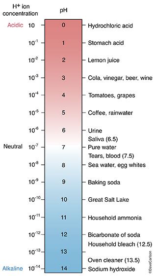 PH Scale | Carlson Stock Art