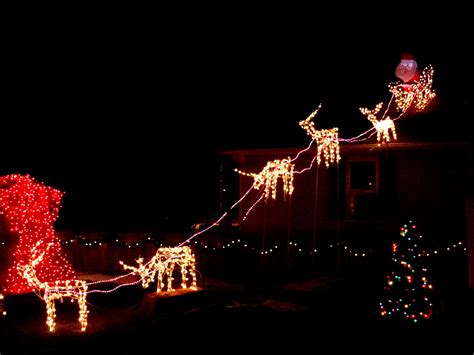 Reindeer Pulling Santa's Sleigh Holiday Christmas Lights Picture | Free ...