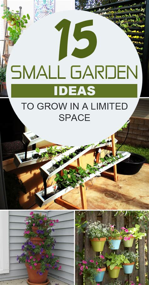 15 Small Garden Ideas to Grow in a Limited Space