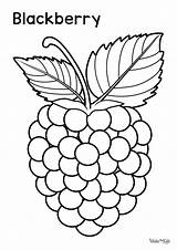 Blackberry Fruit Coloring Pages Free Printable PDFs  WakeTheKids sketch template