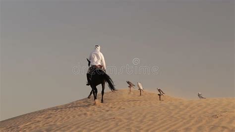 Arabian Horse Rider Riding on Desert in Dubai Stock Footage - Video of arab, equipment: 72870398