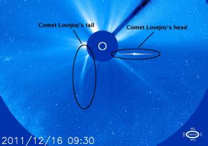 Sun rips comet's tail during close encounter - Technology & science ...