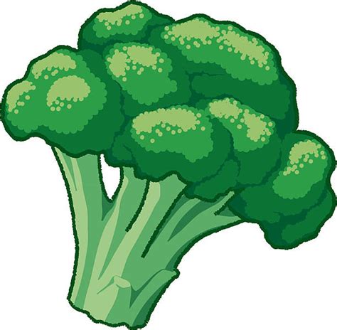 Broccoli Clip Art, Vector Images & Illustrations - iStock