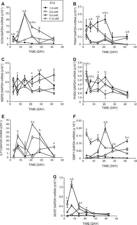 Figure 3 from Calcium induces pro-anabolic effects on human primary osteoblasts associated with ...