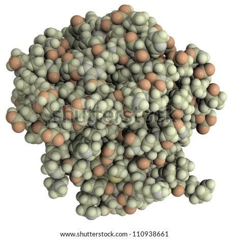 Betalactoglobulin Whey Protein Bovine Chemical Structure Stock ...