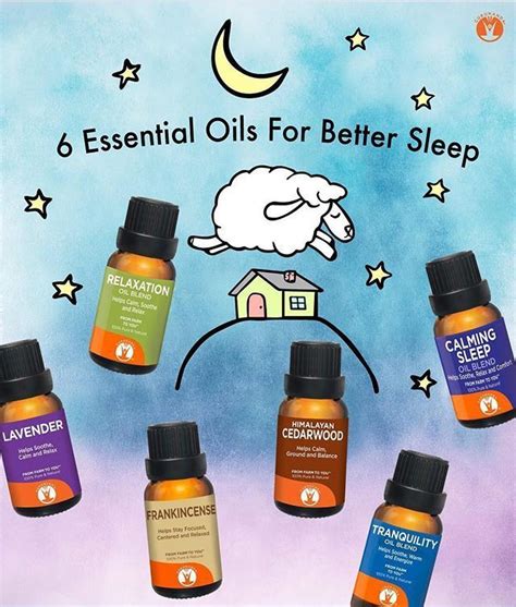 Calming Sleep – Essential Oil Blend – 100% Pure & Natural Therapeutic ...