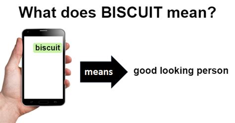 BISCUIT | What Does BISCUIT Mean?