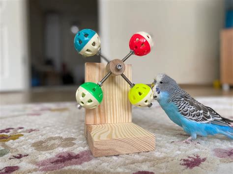 6 Budgie Toys Your Parakeet Will Love To Play With - Psittacology