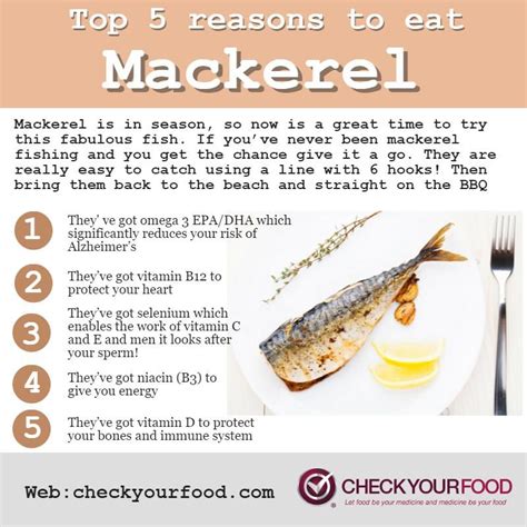 The health benefits of mackerel - Check Your Food | Fish benefits ...