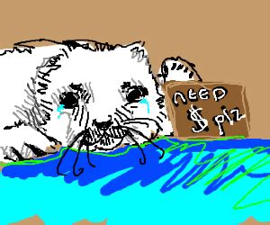 Lazy harp seal has no job - Drawception