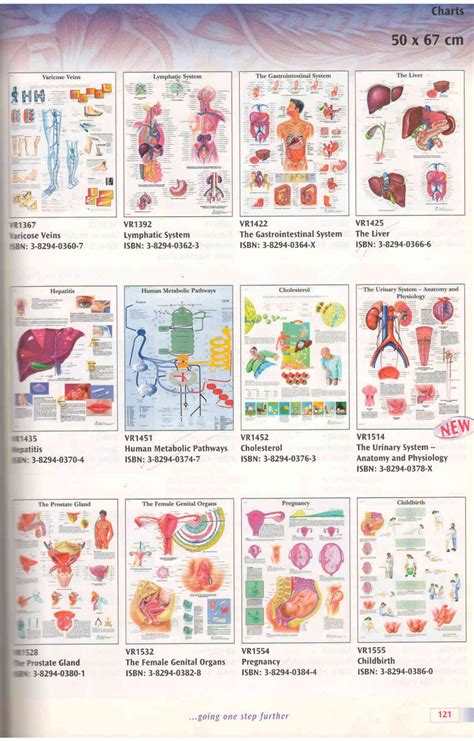 ANATOMICAL CHARTS4 – Concordia Medical