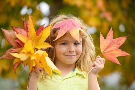 Autumn Child with Autumn Leaves on Fall Nature Background. Portrait of ...