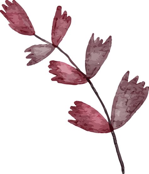 Leaf Watercolor Clip Art 13217686 PNG