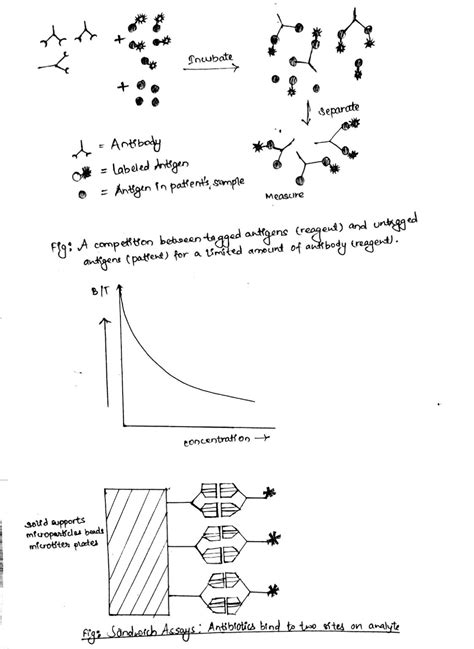 Immunoassay: Principle and Methods - Online Biology Notes