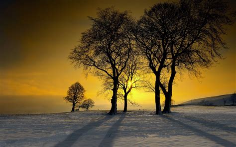 Winter Sunshine Wallpapers - Top Free Winter Sunshine Backgrounds ...