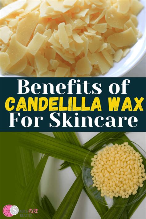 Candelilla Wax Benefits & Uses: Where to Buy + DIY Recipes! in 2021 | Diy food recipes, Perfect ...