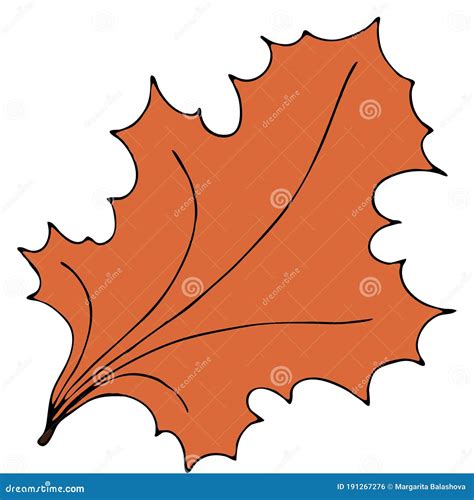 Orange Maple Leaf, Color Vector Doodles with Black Outline Stock Vector - Illustration of ...