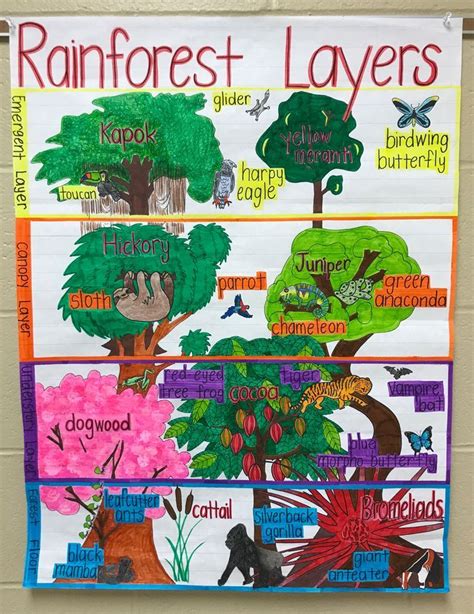 Rainforest Thematic Unit | Rainforest activities, Rainforest classroom ...